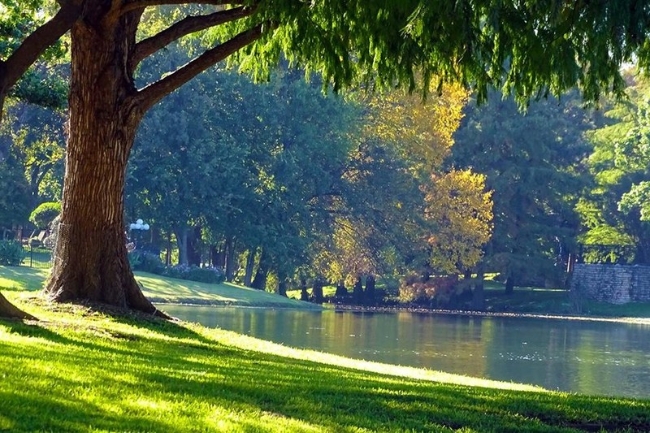 Dẫu tất cả khách đều đã phải ký vào bản cam kết tuân thủ các quy định