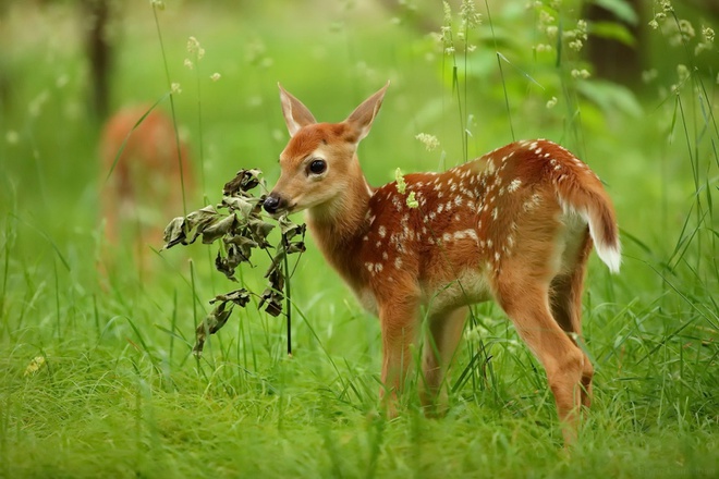 Gần 50 khách sạn làm cơ sở cách ly có trả phí