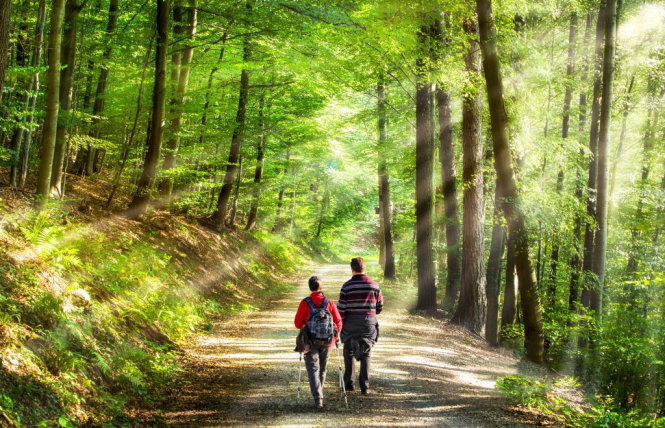 Ăn trong hạnh phúc